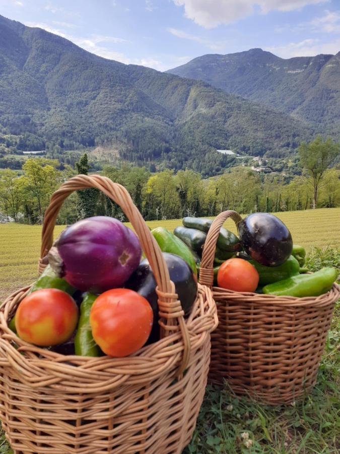 Coste Del Gaggio - Country House B&B - Garda Trentino Drena Екстериор снимка