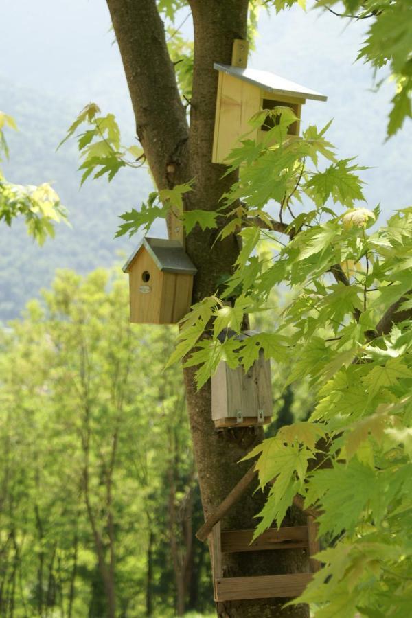 Coste Del Gaggio - Country House B&B - Garda Trentino Drena Екстериор снимка